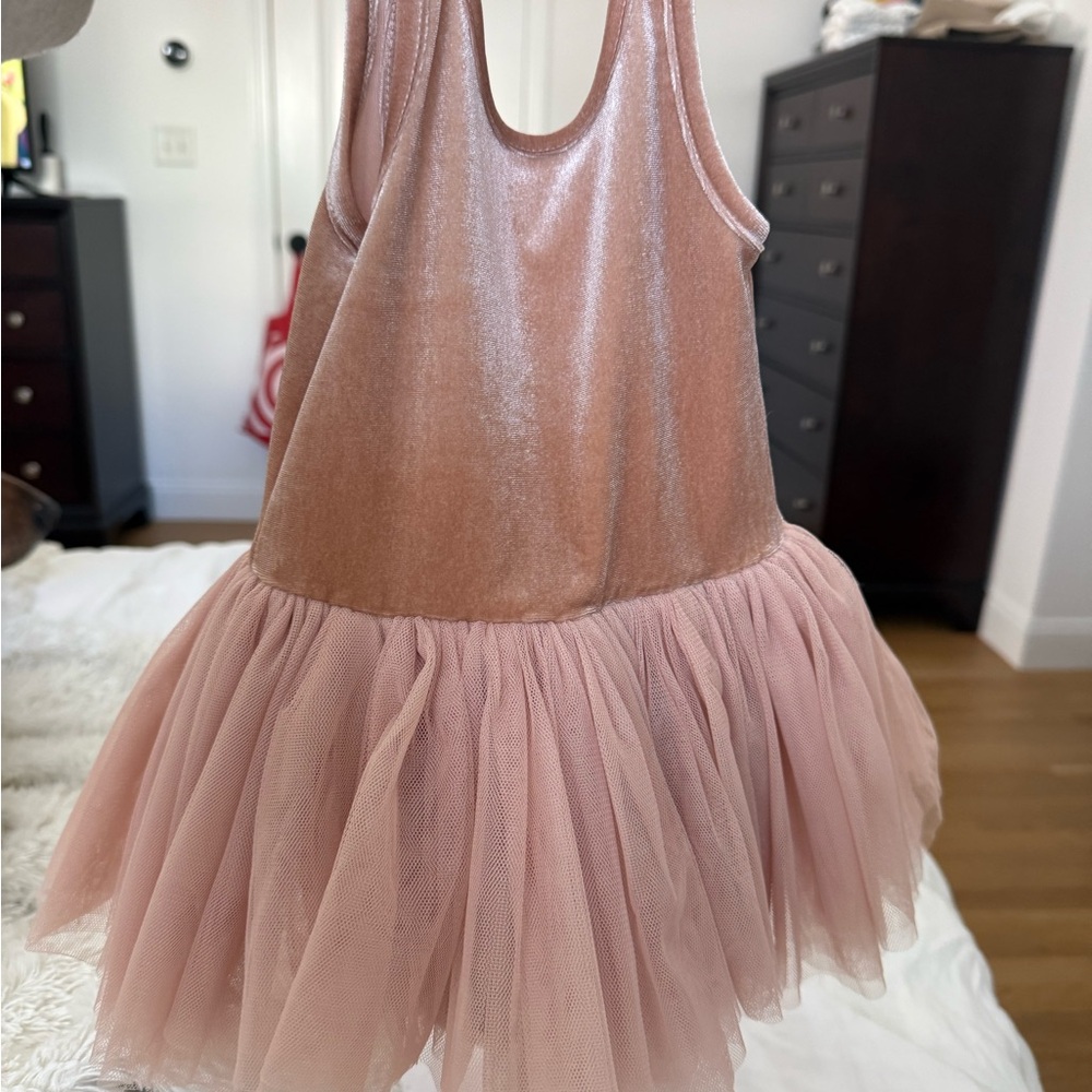 Noralee Blush Velvet and Tulle Dress